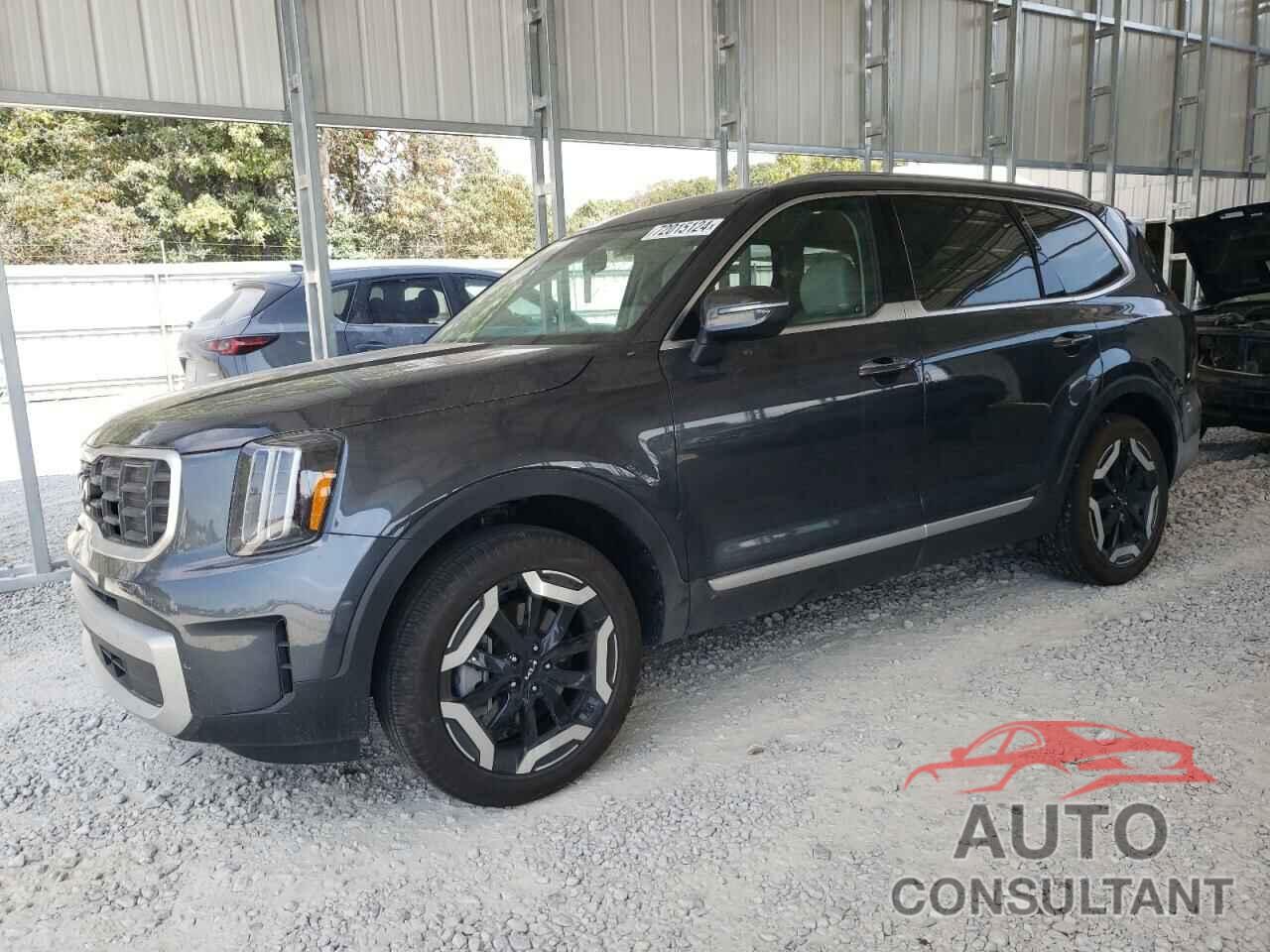 KIA TELLURIDE 2024 - 5XYP6DGC1RG511082
