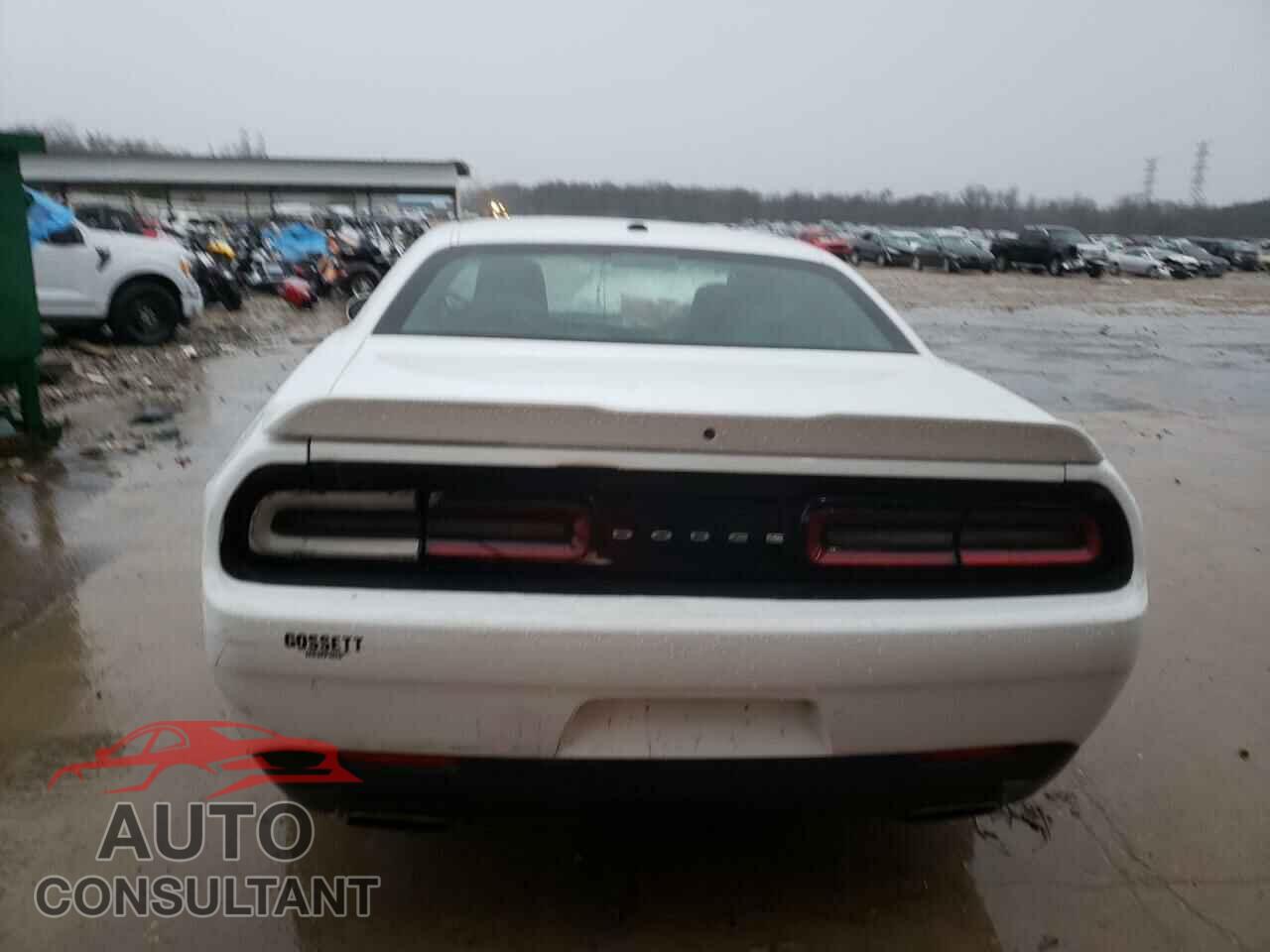 DODGE CHALLENGER 2019 - 2C3CDZAG7KH694142