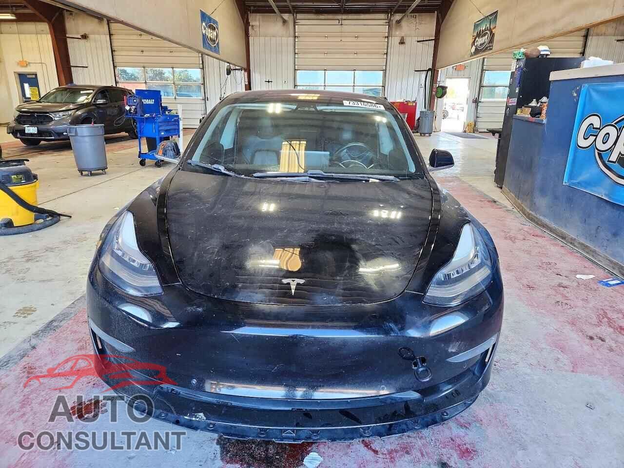 TESLA MODEL 3 2019 - 5YJ3E1EA1KF300642