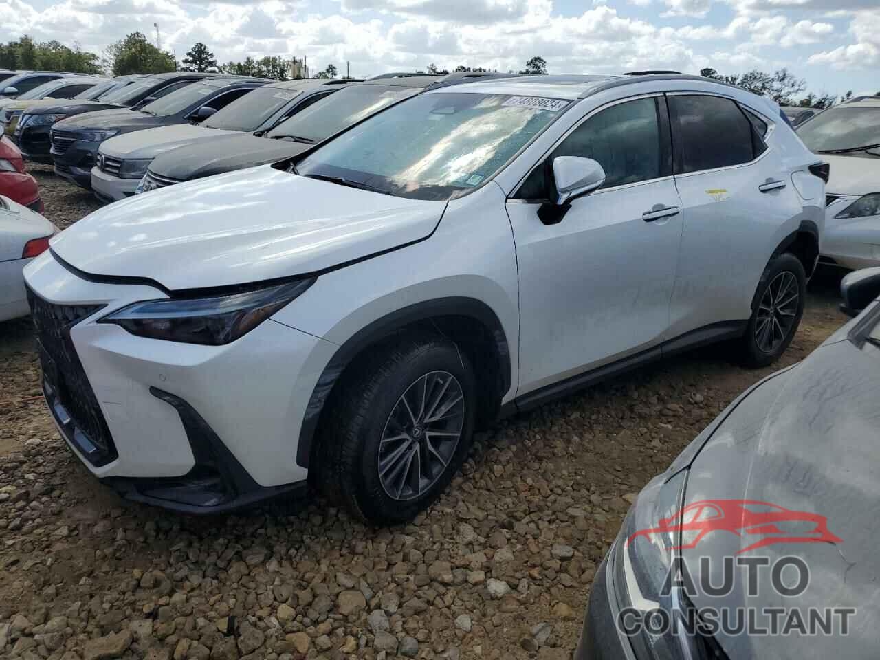 LEXUS NX 350 2022 - 2T2GGCEZ0NC003878