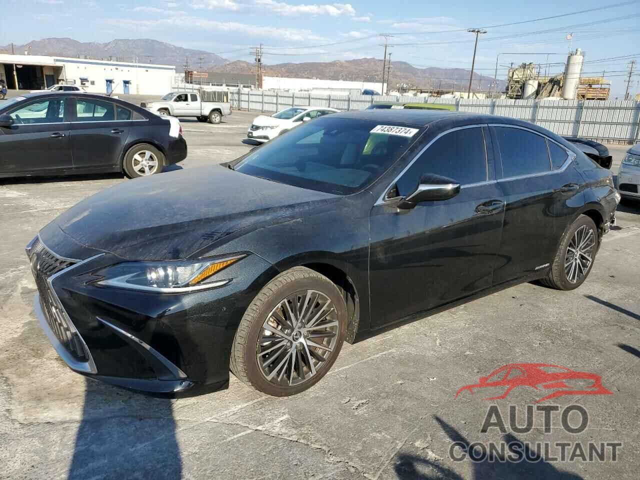 LEXUS ES300 2022 - 58ADA1C11NU024059