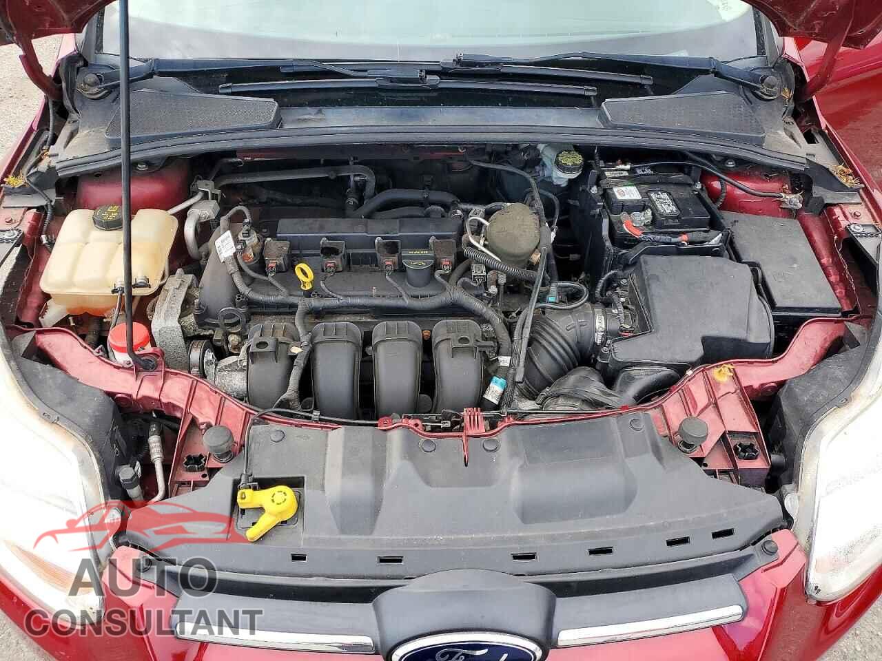 FORD FOCUS 2014 - 1FADP3F28EL101449
