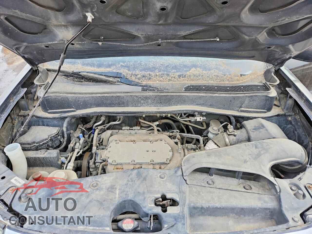 HONDA PILOT 2011 - 5FNYF3H24BB501079