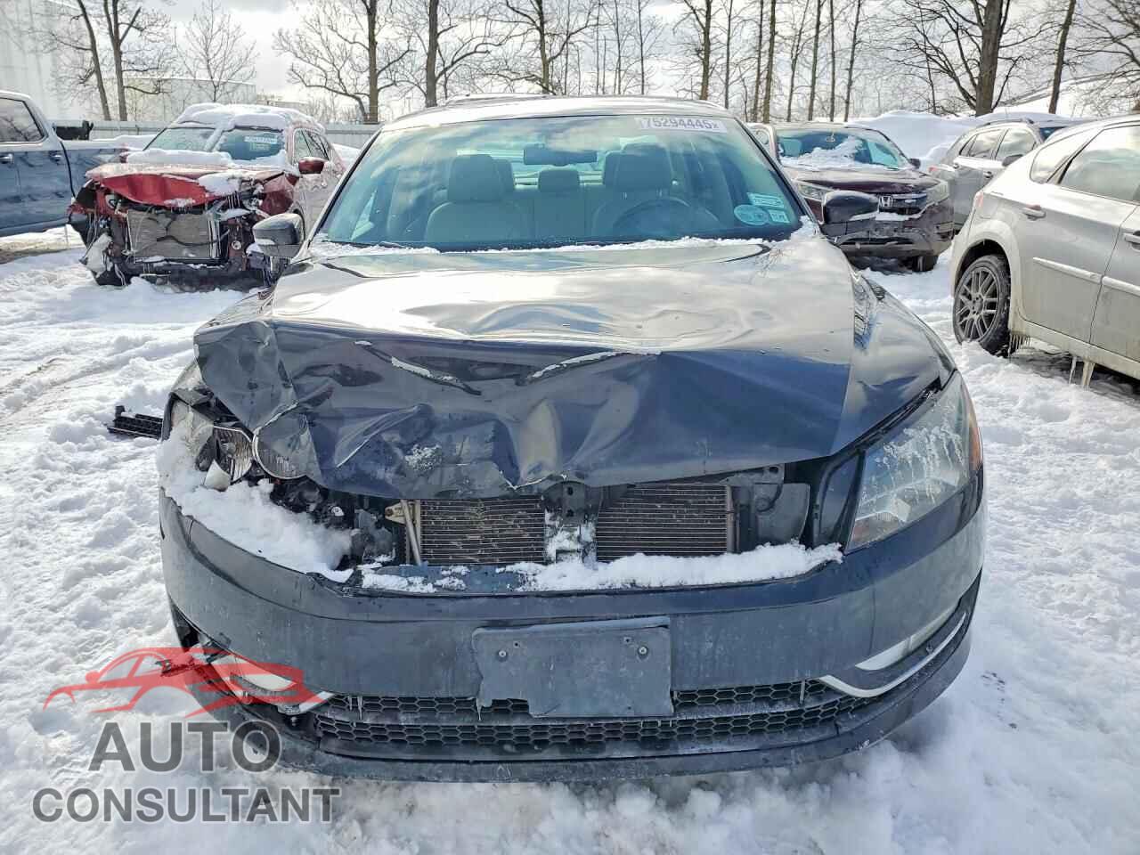 VOLKSWAGEN PASSAT 2014 - 1VWCN7A36EC061307