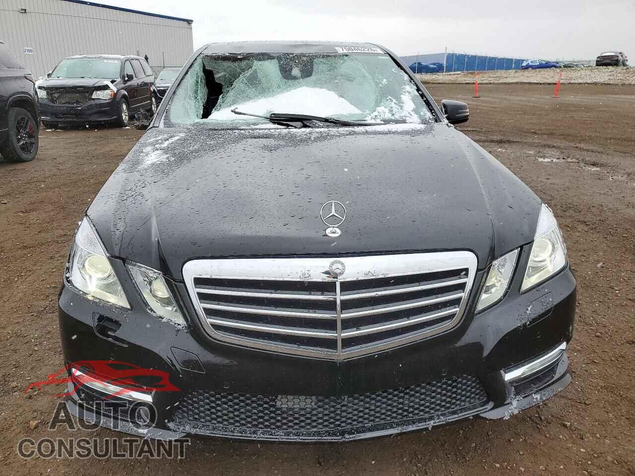 MERCEDES-BENZ E-CLASS 2013 - WDDHF8BB8DA766451