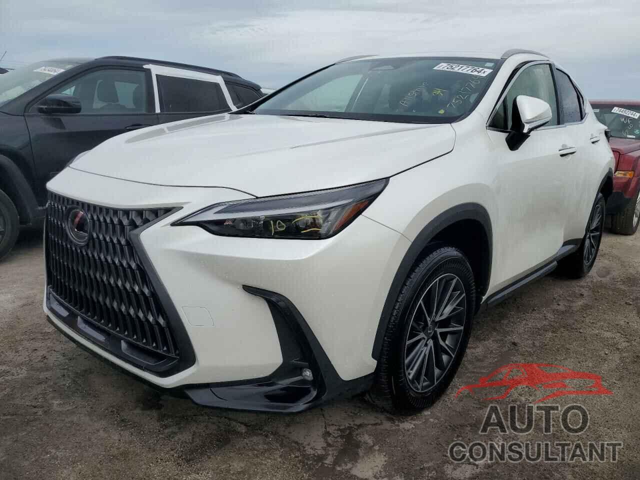 LEXUS NX 250 2022 - JTJADCAZ1N5001141