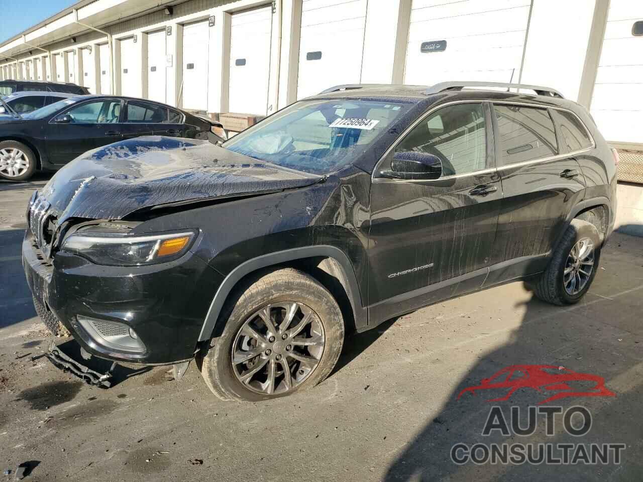 JEEP GRAND CHER 2019 - 1C4PJMLN7KD161595
