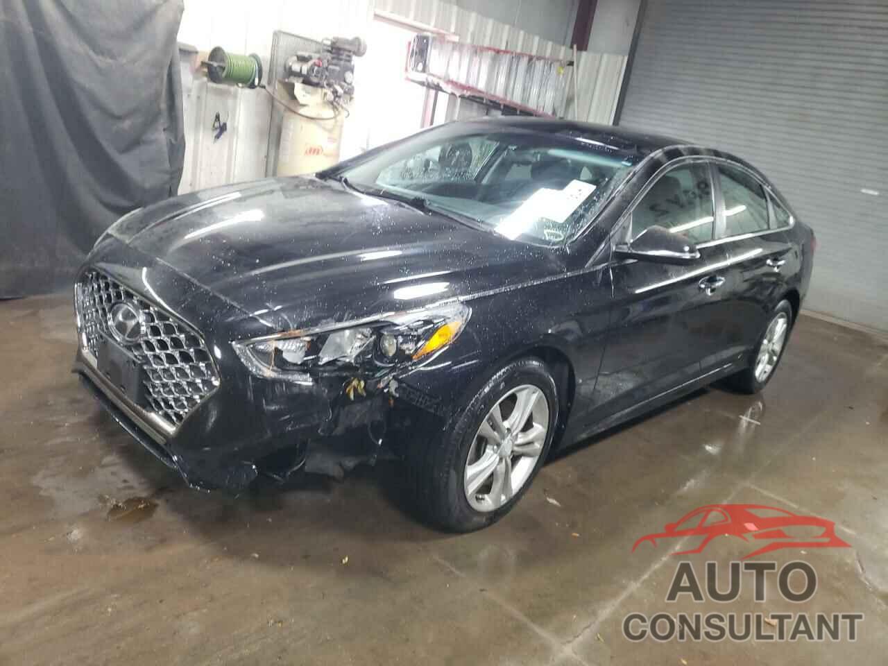 HYUNDAI SONATA 2019 - 5NPE34AF0KH778828