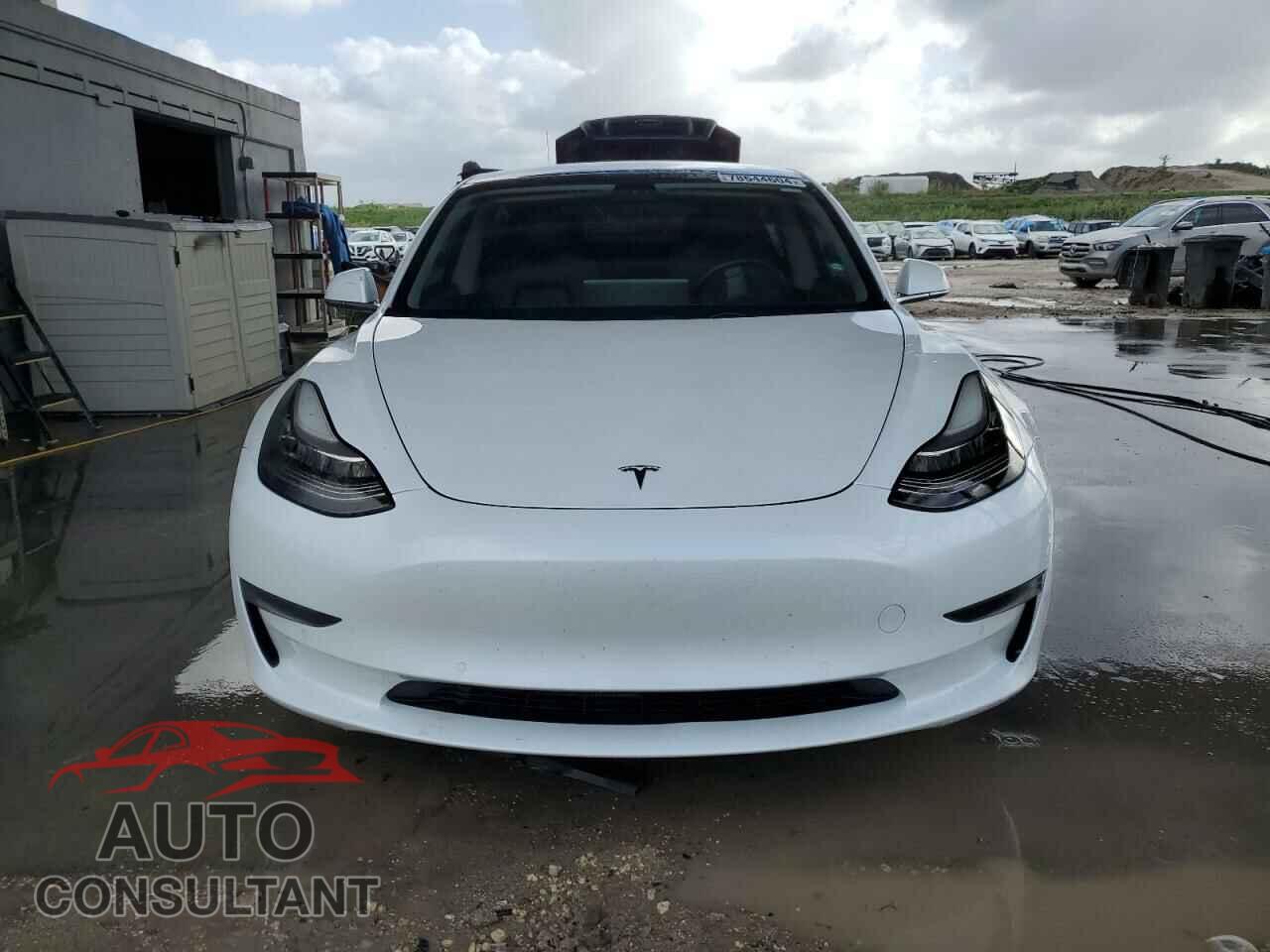 TESLA MODEL 3 2019 - 5YJ3E1EA1KF483749