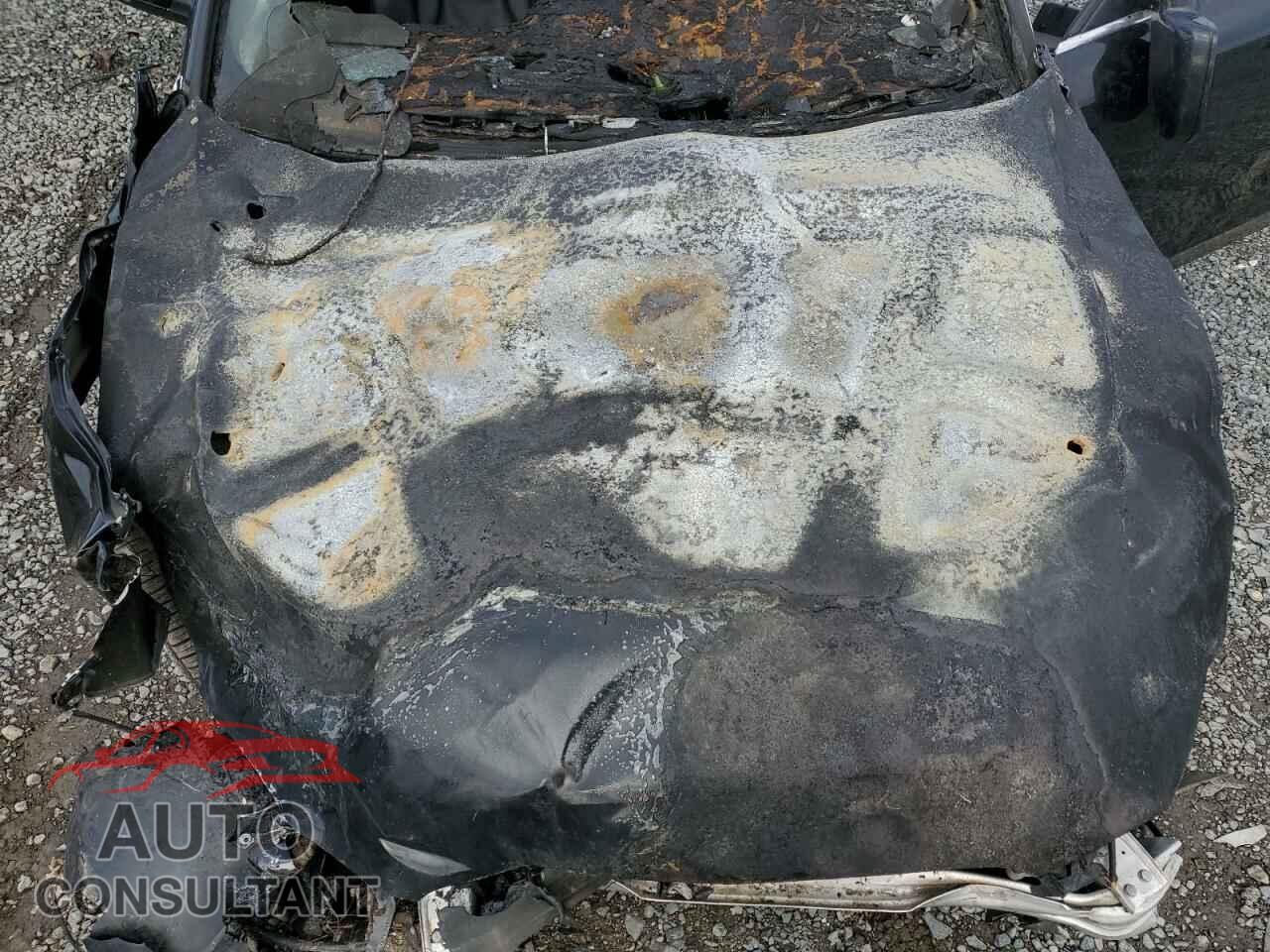 AUDI A4 2016 - WAUFFAFL5GN004751
