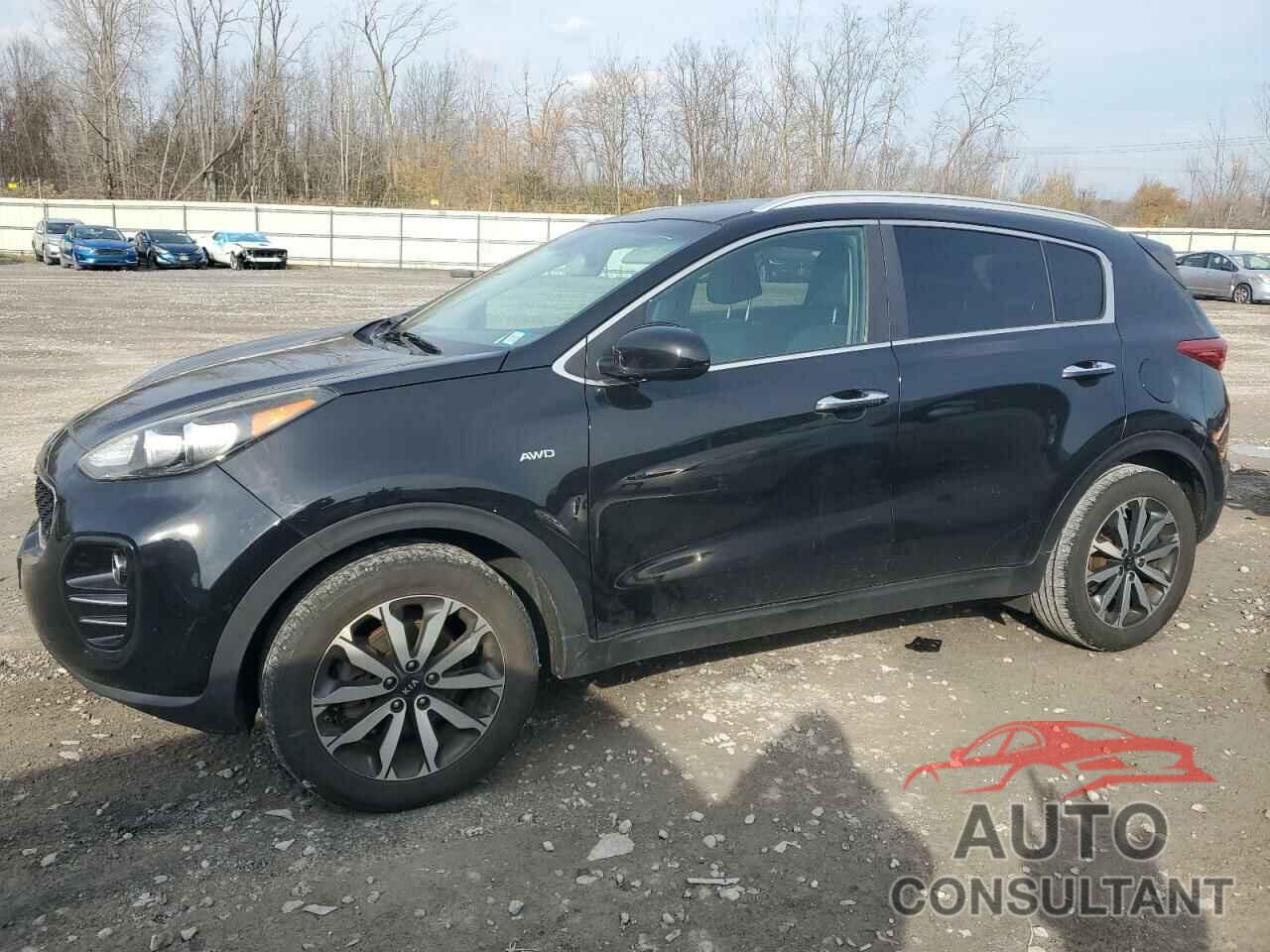 KIA SPORTAGE 2017 - KNDPNCAC3H7249521