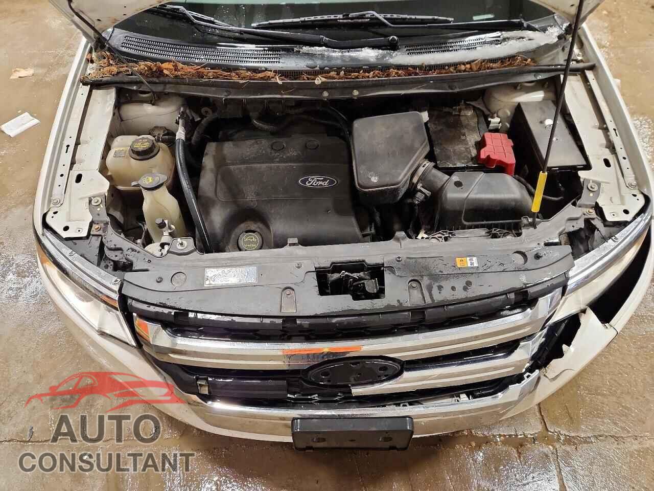 FORD EDGE 2011 - 2FMDK4KC0BBB65568