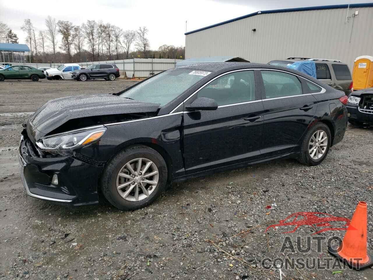 HYUNDAI SONATA 2019 - 5NPE24AF7KH791479