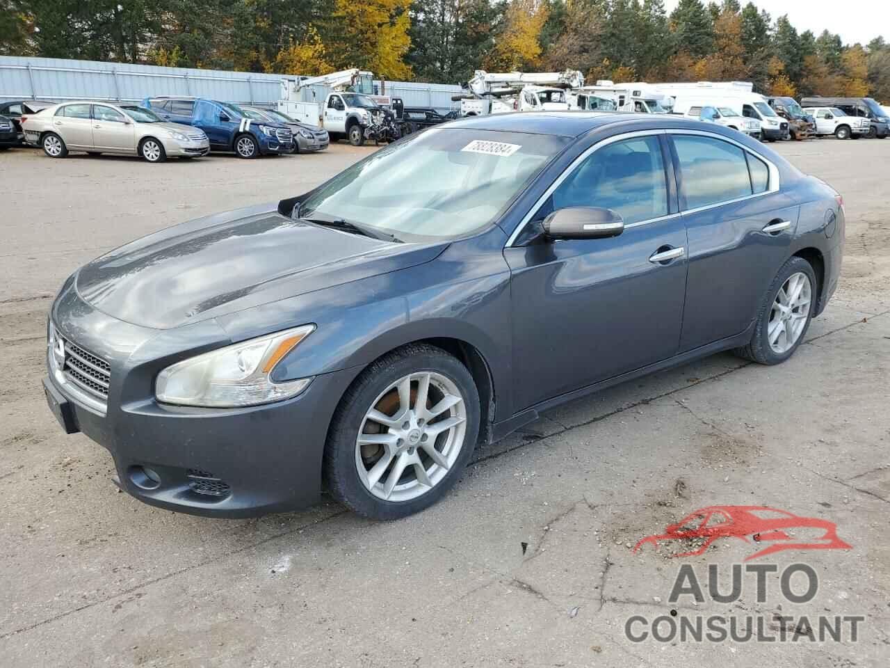 NISSAN MAXIMA 2011 - 1N4AA5AP2BC819898
