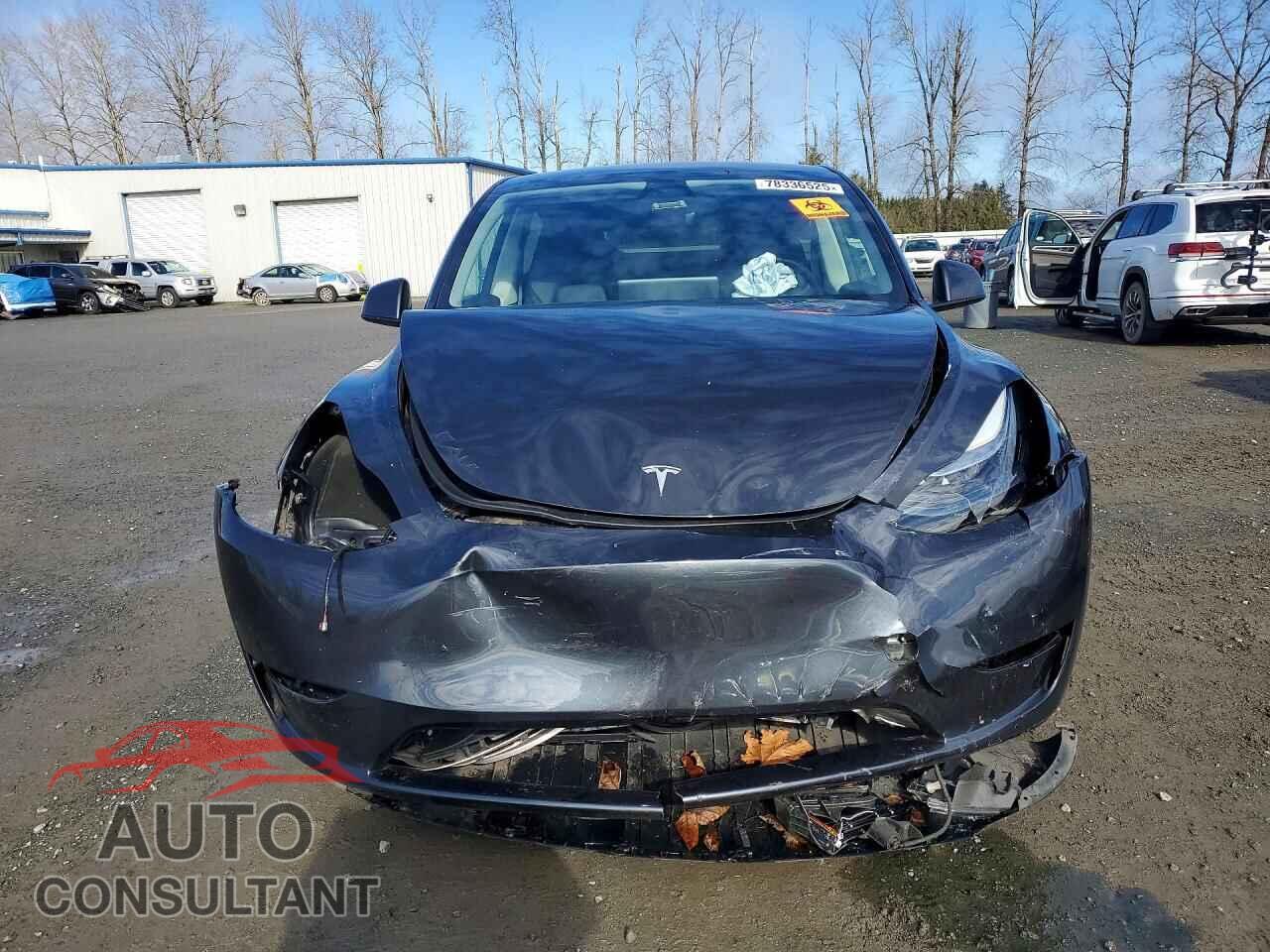 TESLA MODEL Y 2024 - 7SAYGDED0RF179210