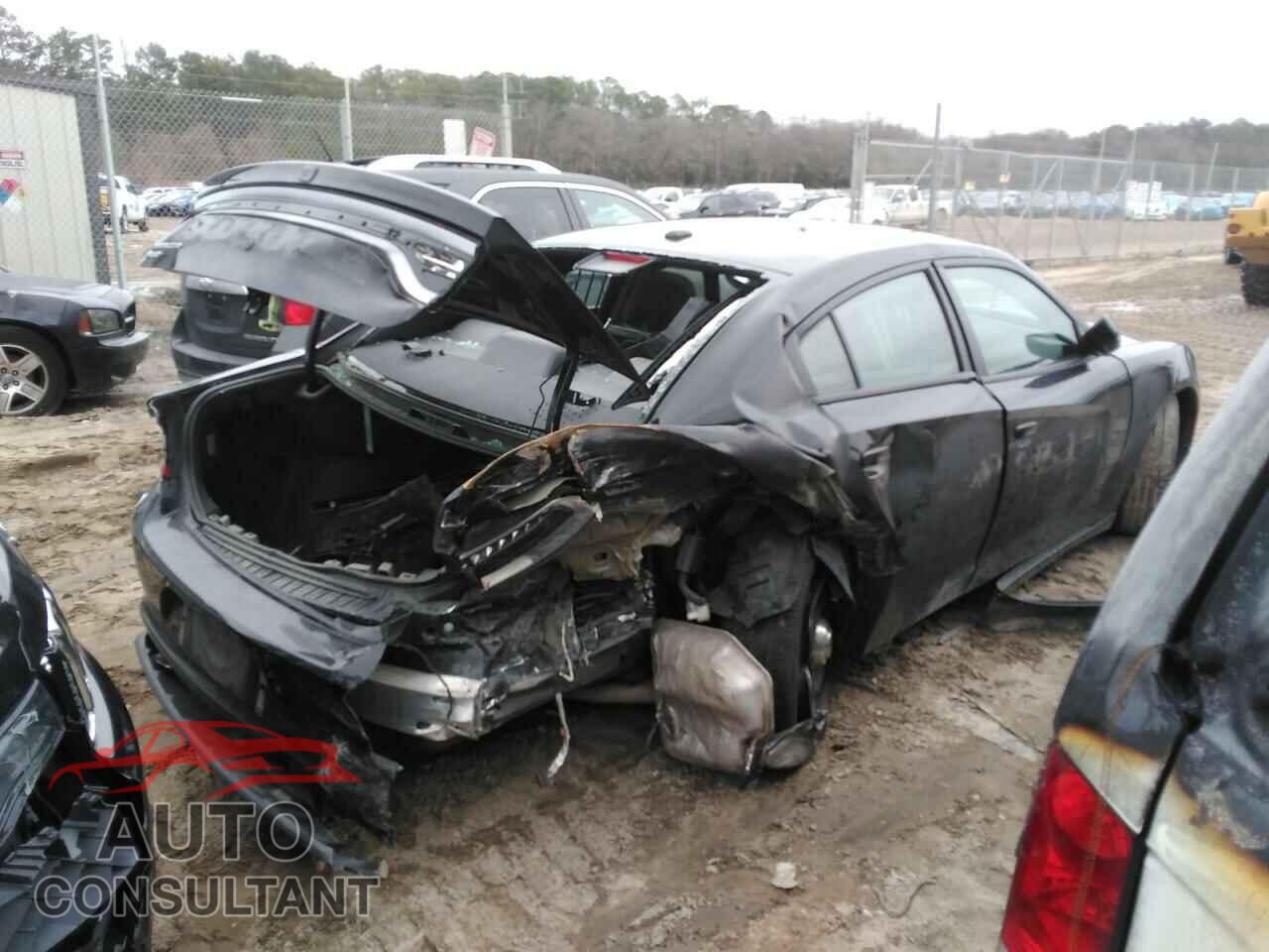 DODGE CHARGER 2019 - 2C3CDXKTXKH651009