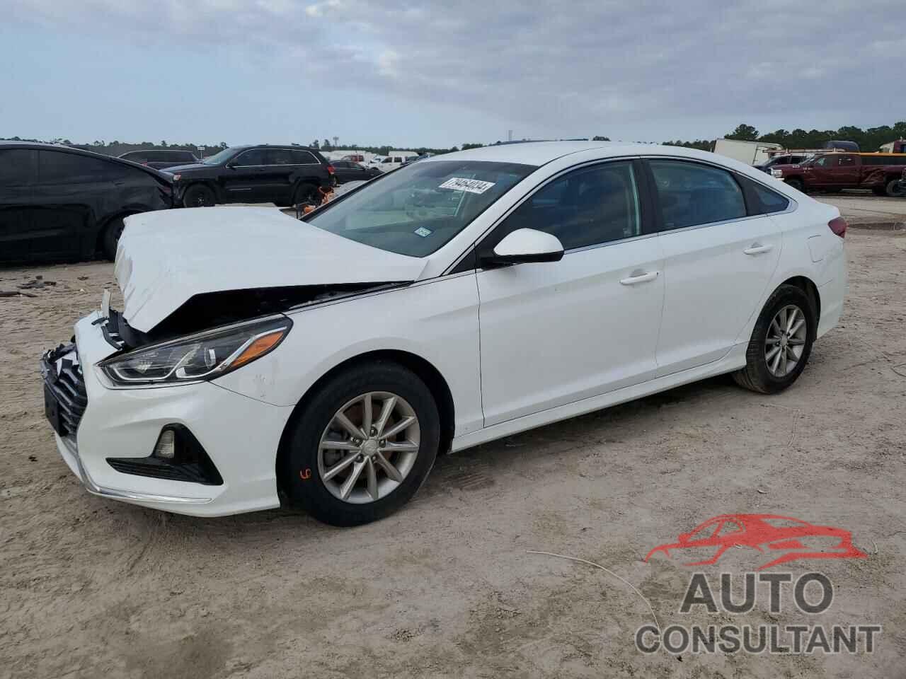 HYUNDAI SONATA 2019 - 5NPE24AF1KH729706