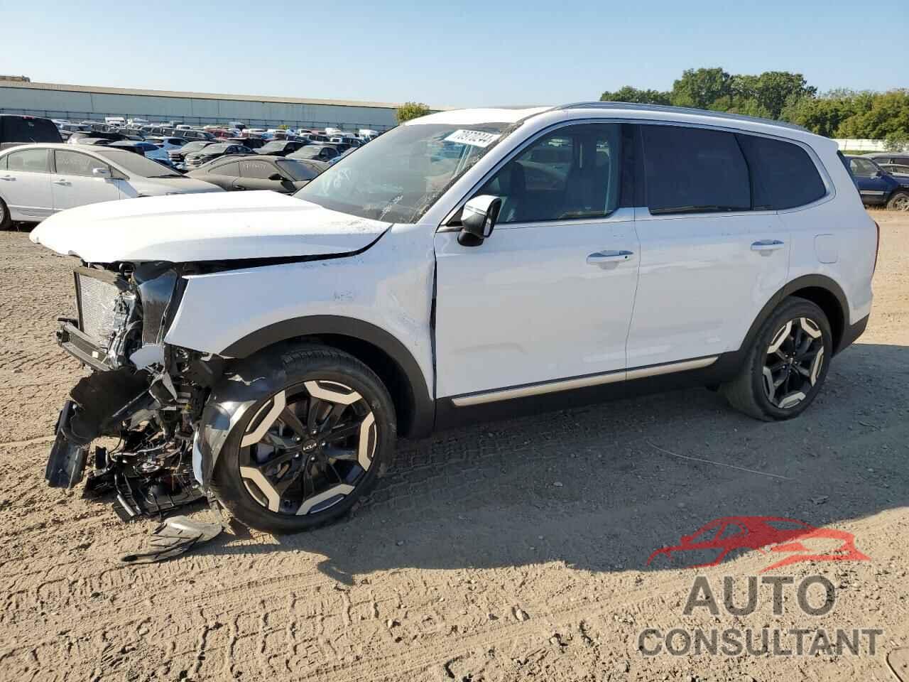 KIA TELLURIDE 2024 - 5XYP6DGC7RG556771