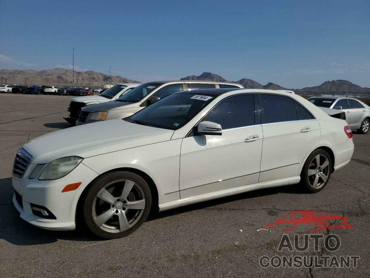 MERCEDES-BENZ E-CLASS 2010 - WDDHF5GB7AA065953