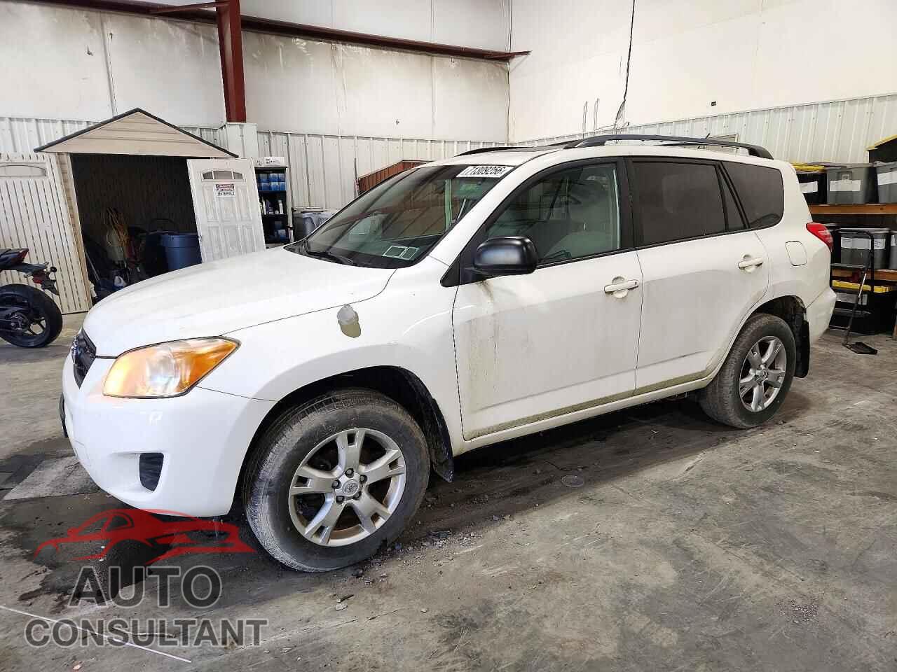 TOYOTA RAV4 2011 - 2T3BF4DV4BW153905