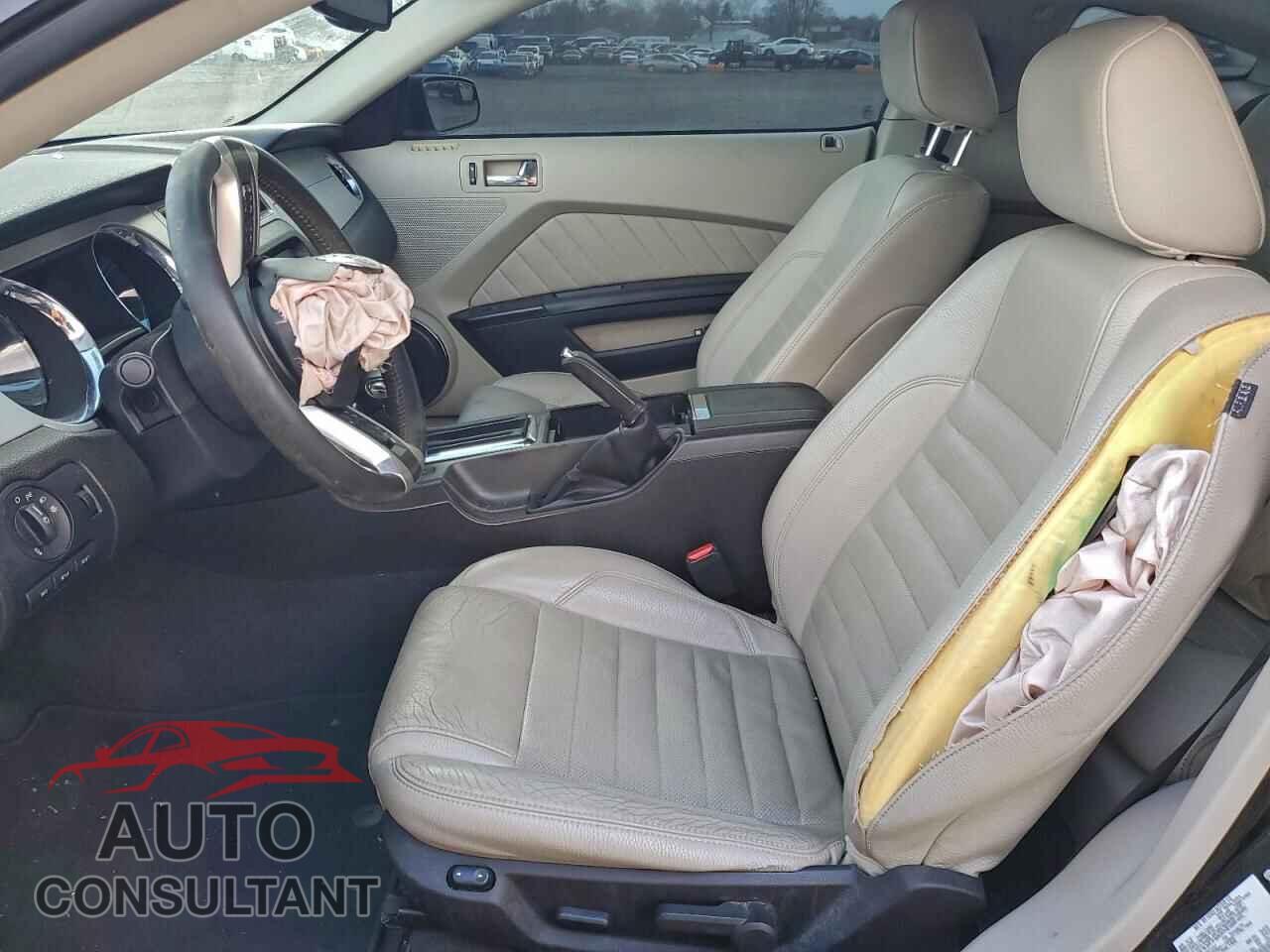 FORD MUSTANG 2011 - 1ZVBP8CF4B5155267