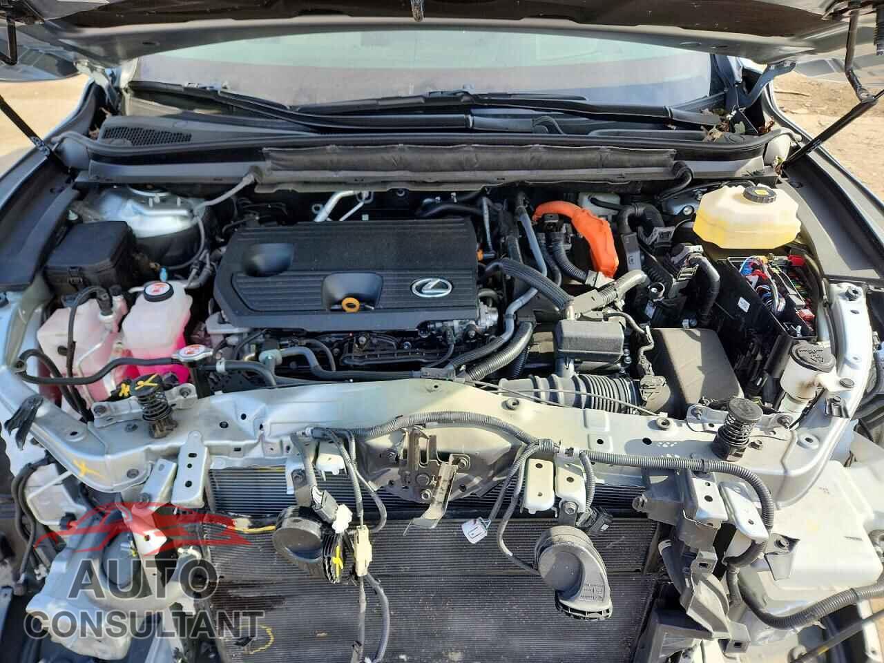 LEXUS RX350H 2025 - 2T2BBMCA4SC092135