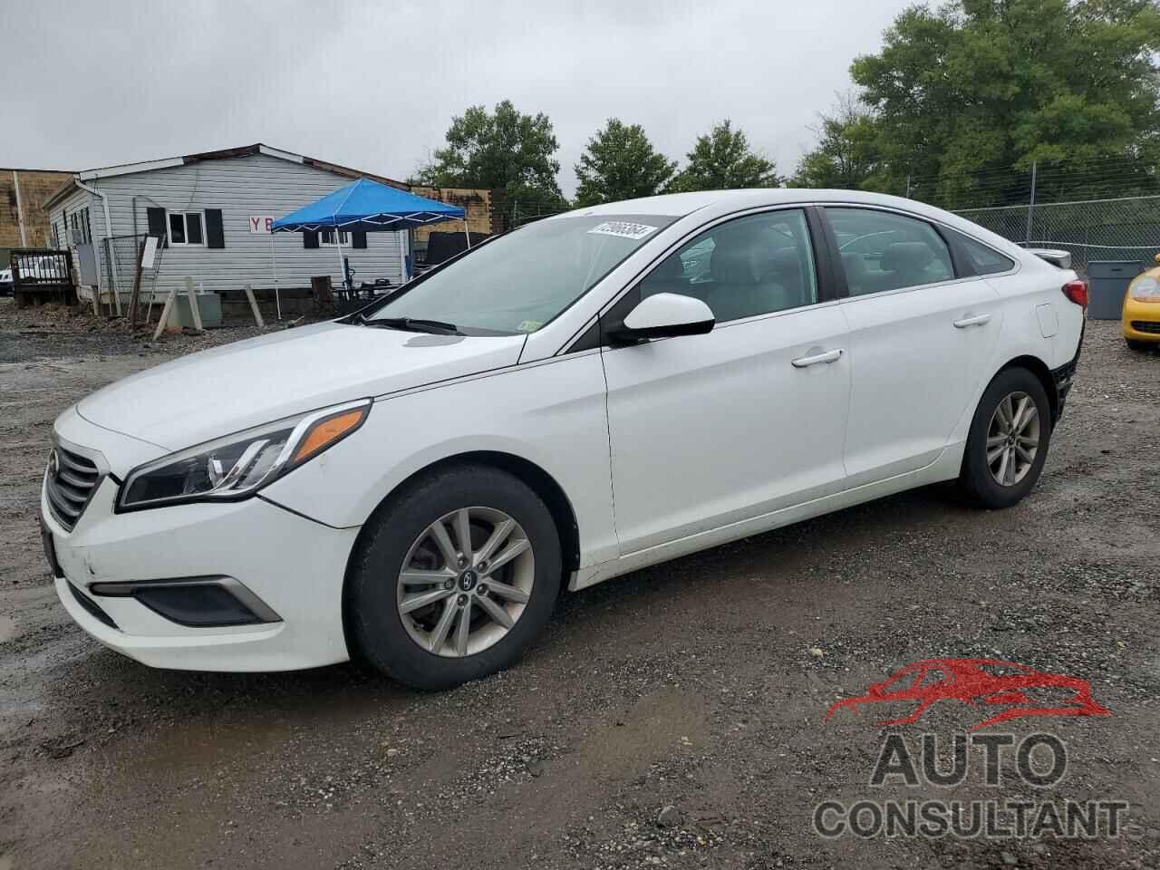 HYUNDAI SONATA 2017 - 5NPE24AFXHH457889