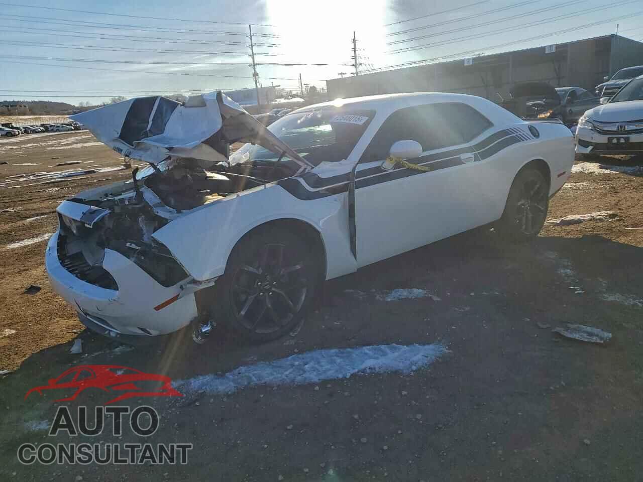 DODGE CHALLENGER 2019 - 2C3CDZAG3KH501274
