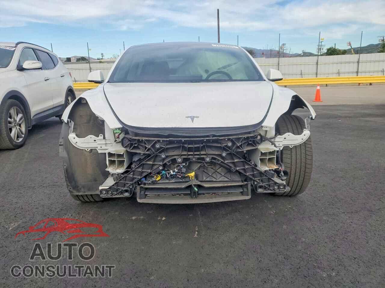TESLA MODEL 3 2021 - 5YJ3E1EA3MF018084