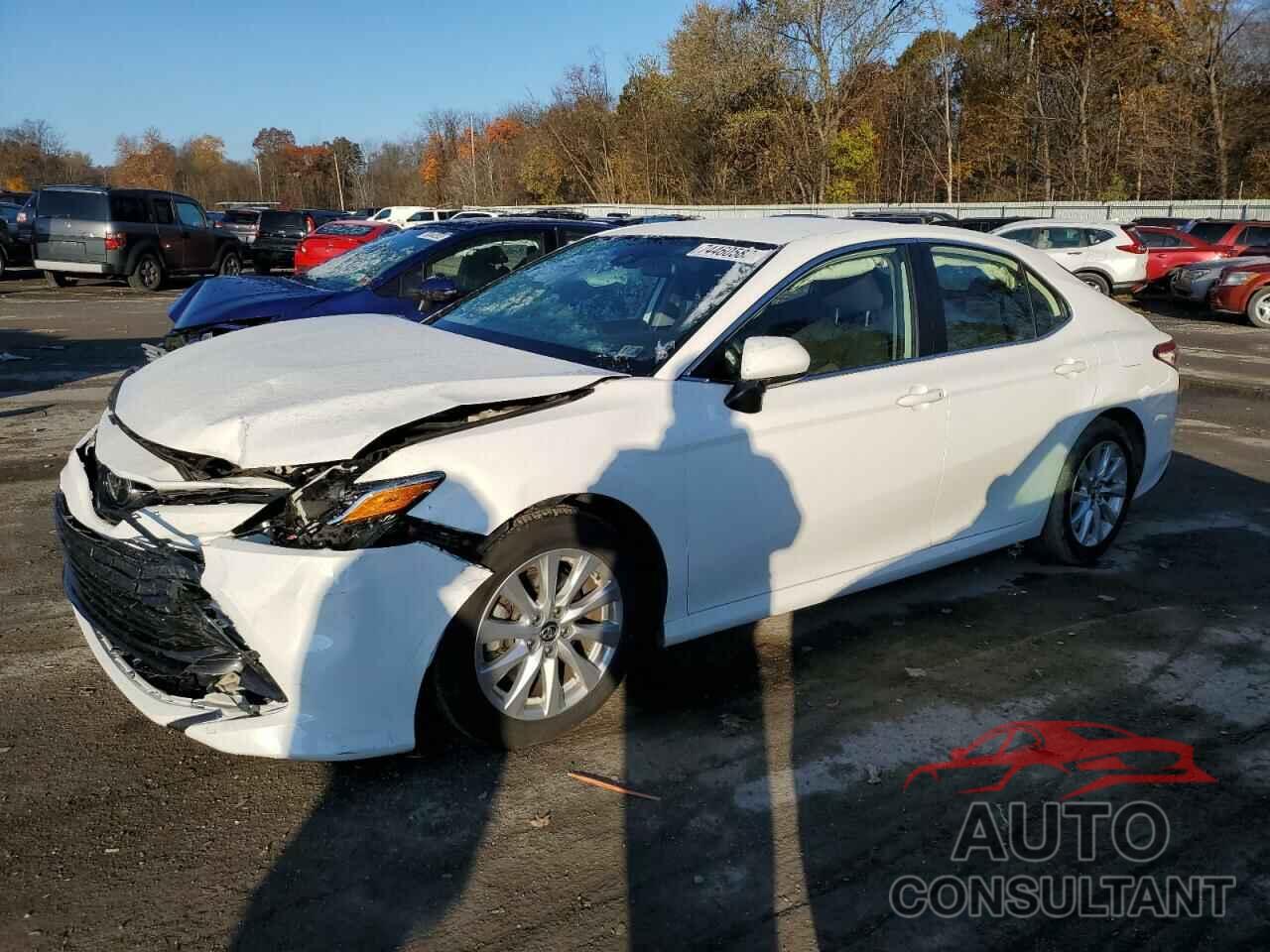 TOYOTA CAMRY 2019 - JTNB11HK7K3086325