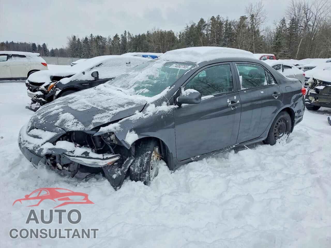 TOYOTA COROLLA 2011 - 2T1BU4EE1BC577010