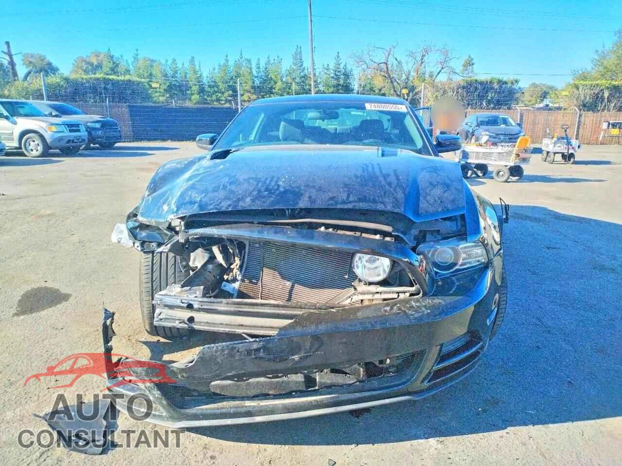 FORD MUSTANG 2014 - 1ZVBP8CF9E5229111