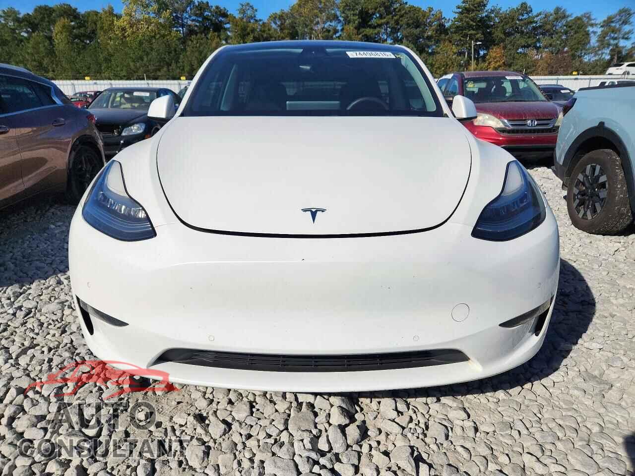 TESLA MODEL Y 2021 - 5YJYGDEE2MF061853