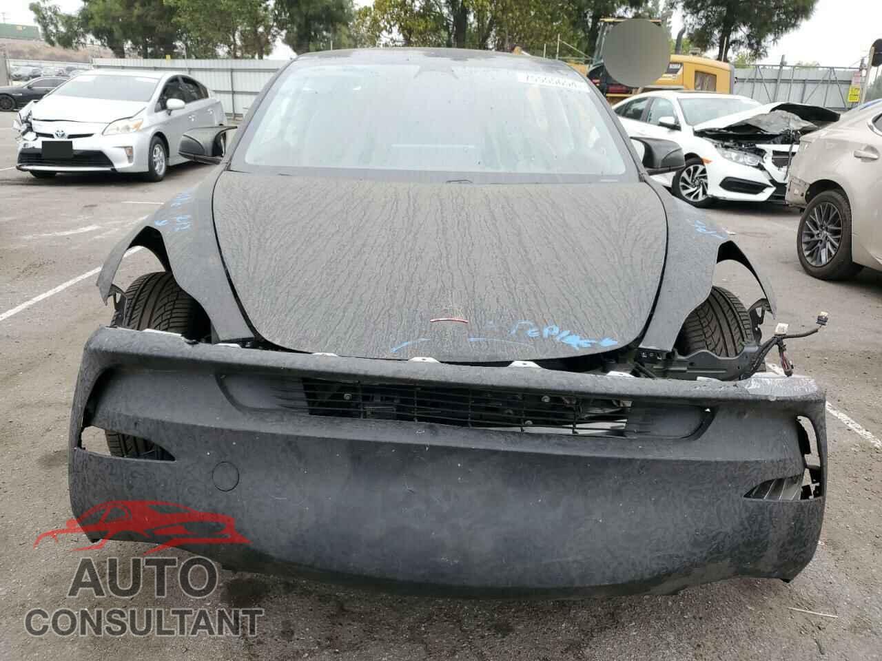 TESLA MODEL 3 2019 - 5YJ3E1EA4KF317077