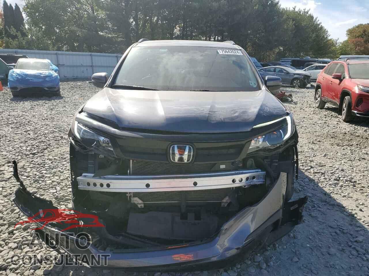 HONDA PILOT 2021 - 5FNYF6H29MB099662