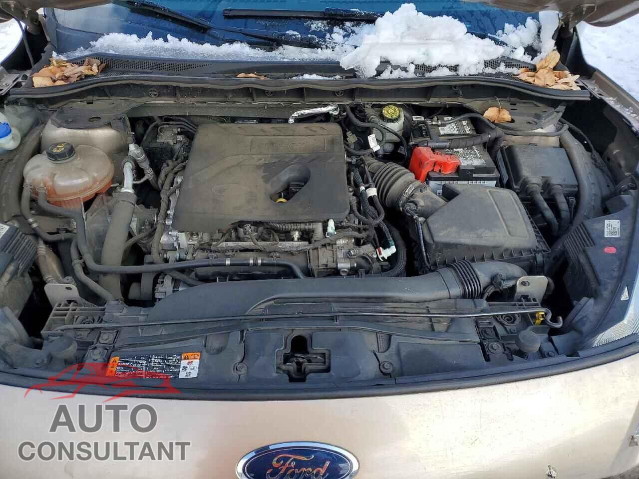 FORD ESCAPE 2020 - 1FMCU0G62LUA13918