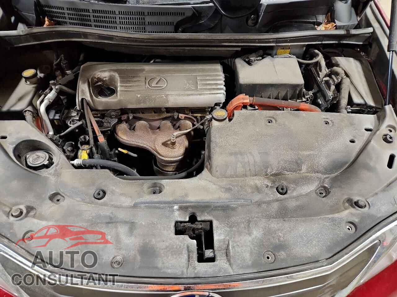 LEXUS HS 2011 - JTHBB1BA7B2042590