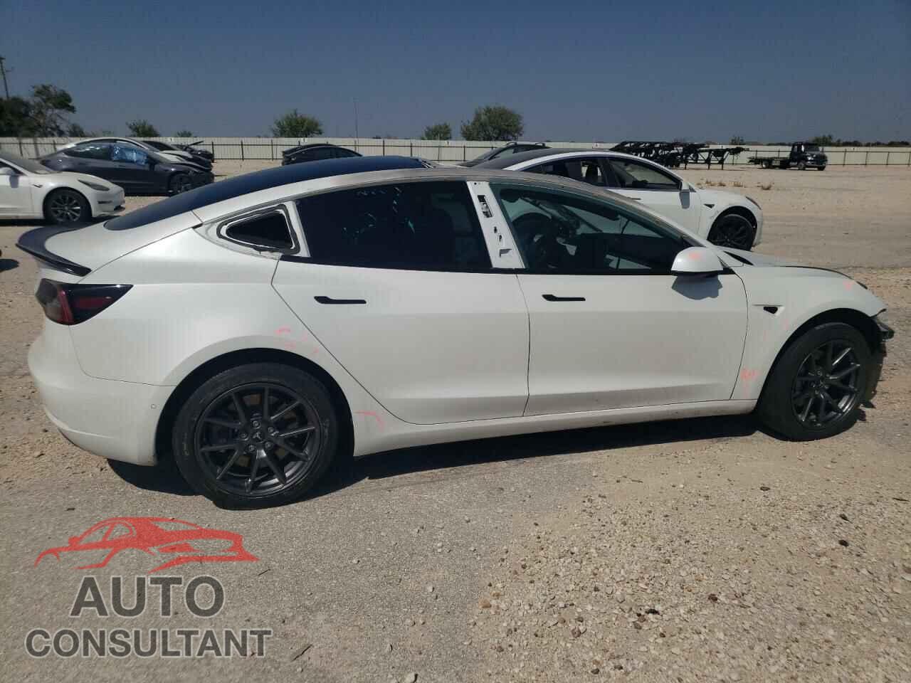 TESLA MODEL 3 2021 - 5YJ3E1EA8MF976850