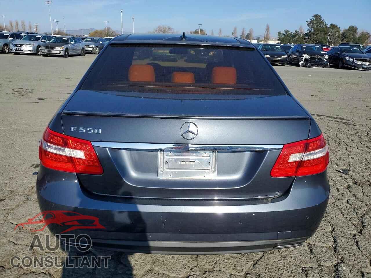 MERCEDES-BENZ E-CLASS 2010 - WDDHF7CB1AA016247