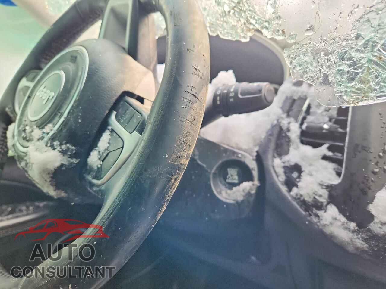JEEP COMPASS 2019 - 3C4NJDBB4KT597202