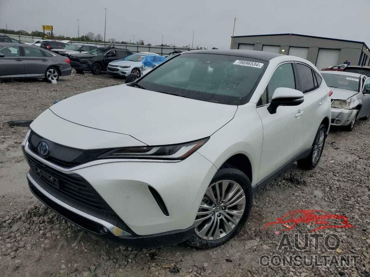 TOYOTA VENZA 2024 - JTEAAAAH2RJ184209