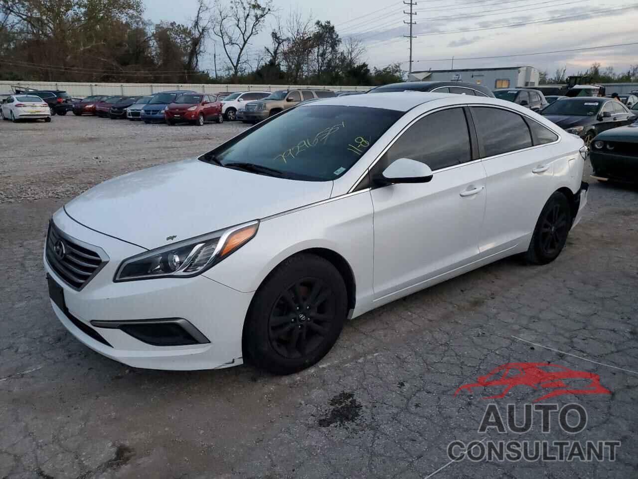 HYUNDAI SONATA 2016 - 5NPE24AF4GH365160