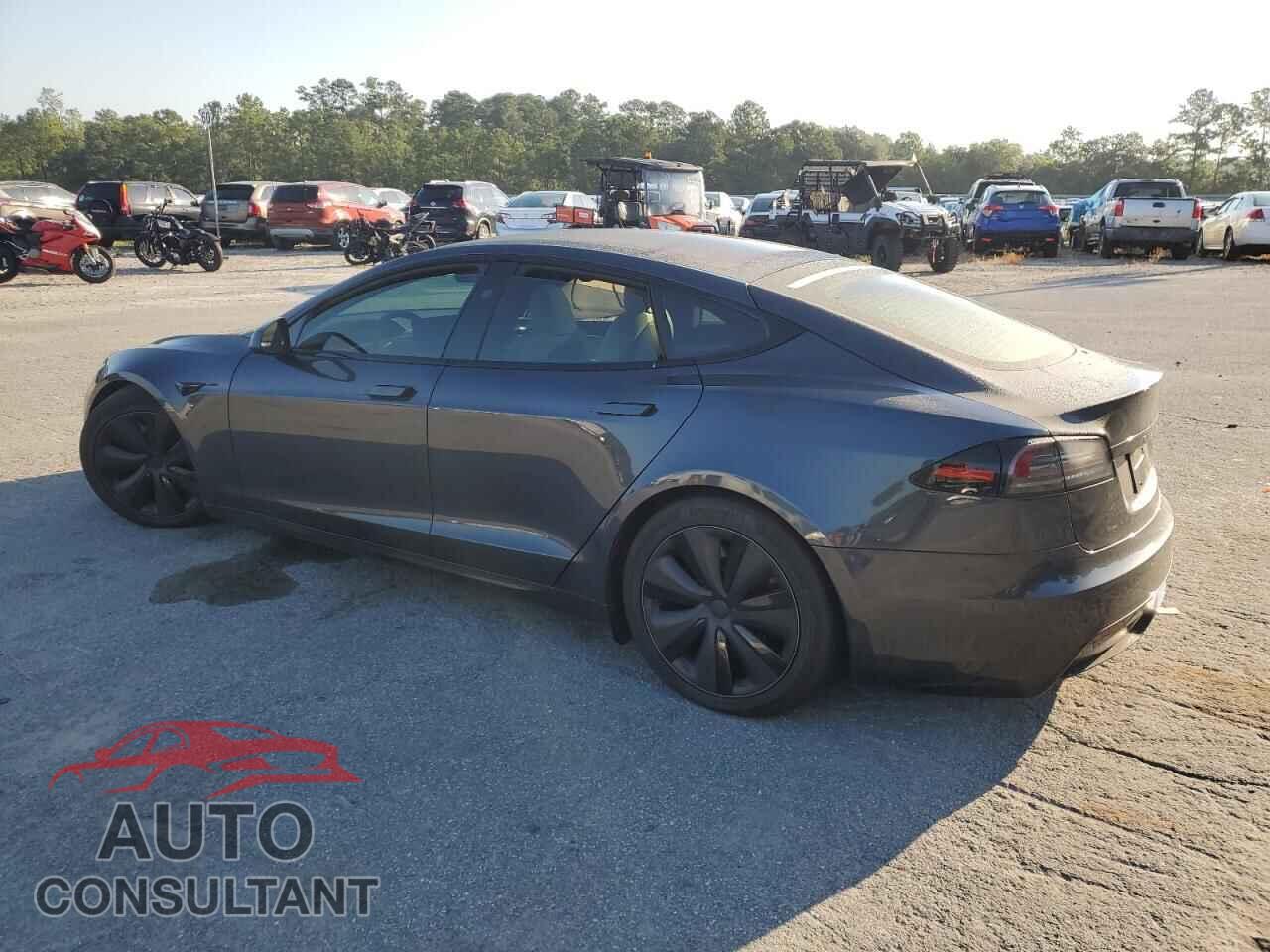 TESLA MODEL S 2024 - 5YJSA1E56RF542993