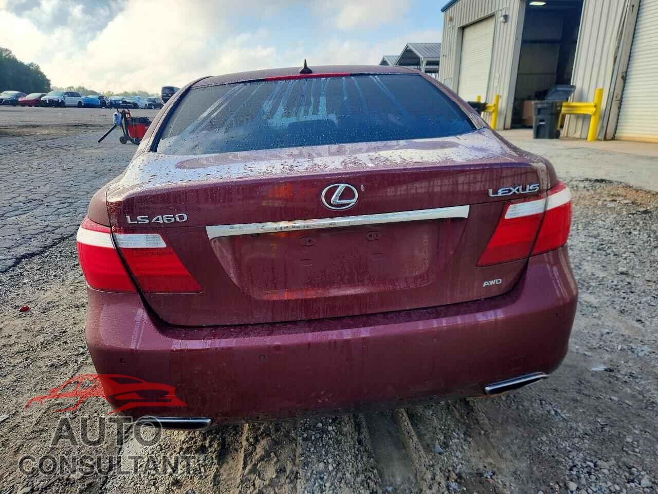 LEXUS LS460 2009 - JTHCL46FX95003462