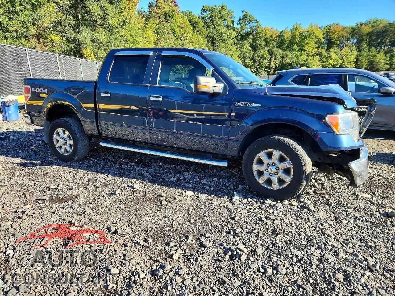 FORD F150 2013 - 1FTFW1EF1DFD29806