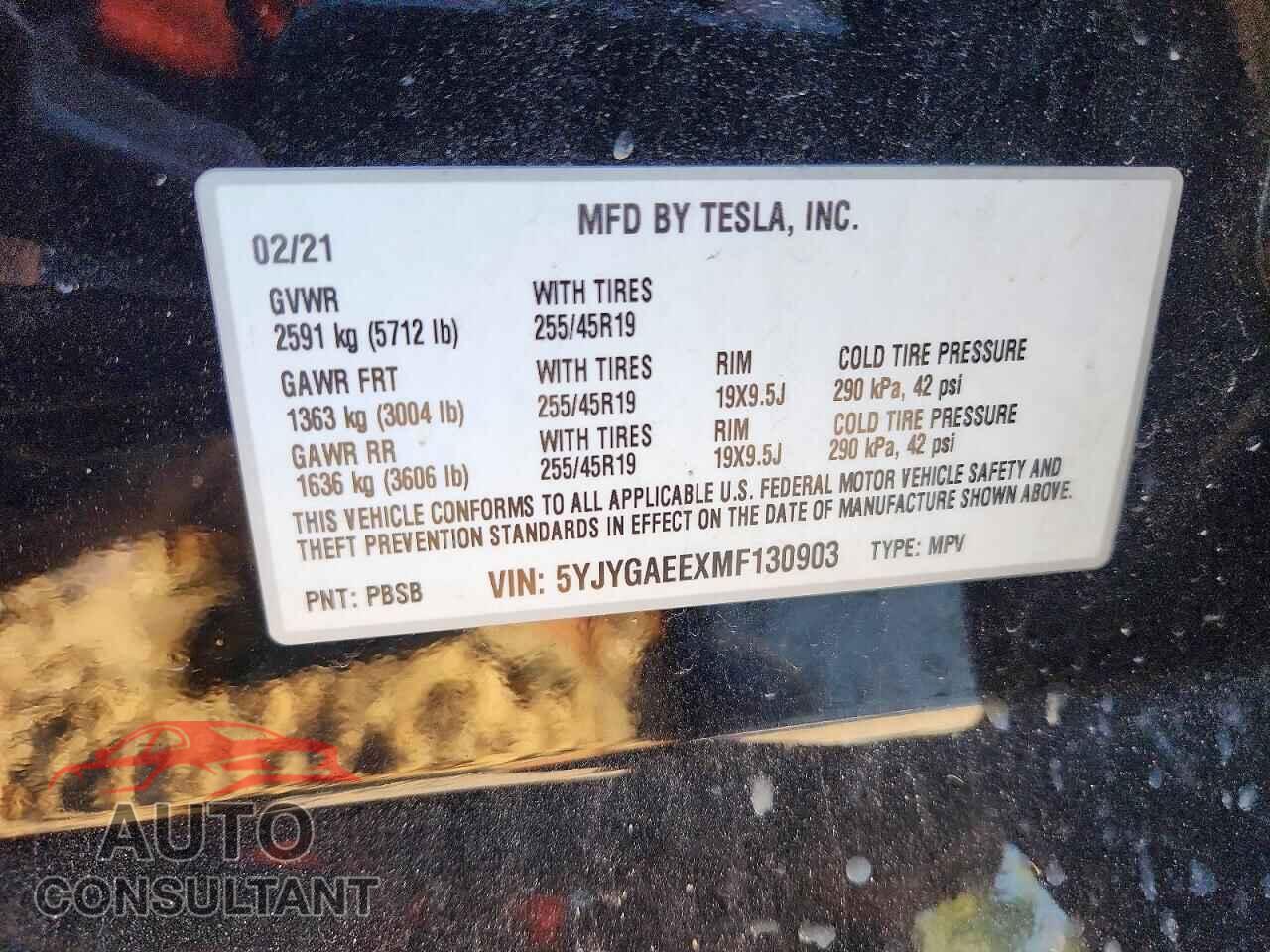 TESLA MODEL Y 2021 - 5YJYGAEEXMF130903