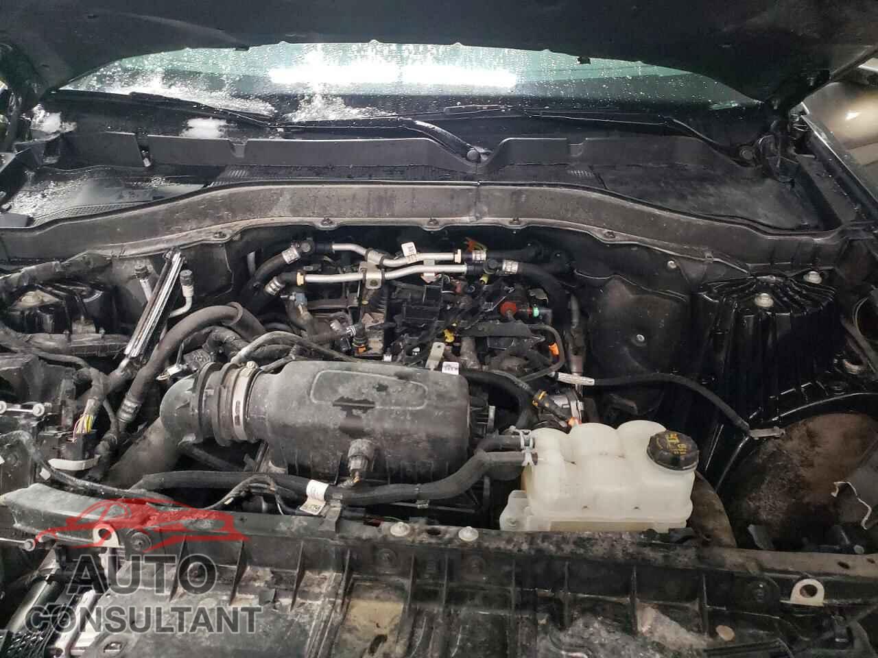 FORD EXPLORER 2023 - 1FMSK8DH9PGB31197