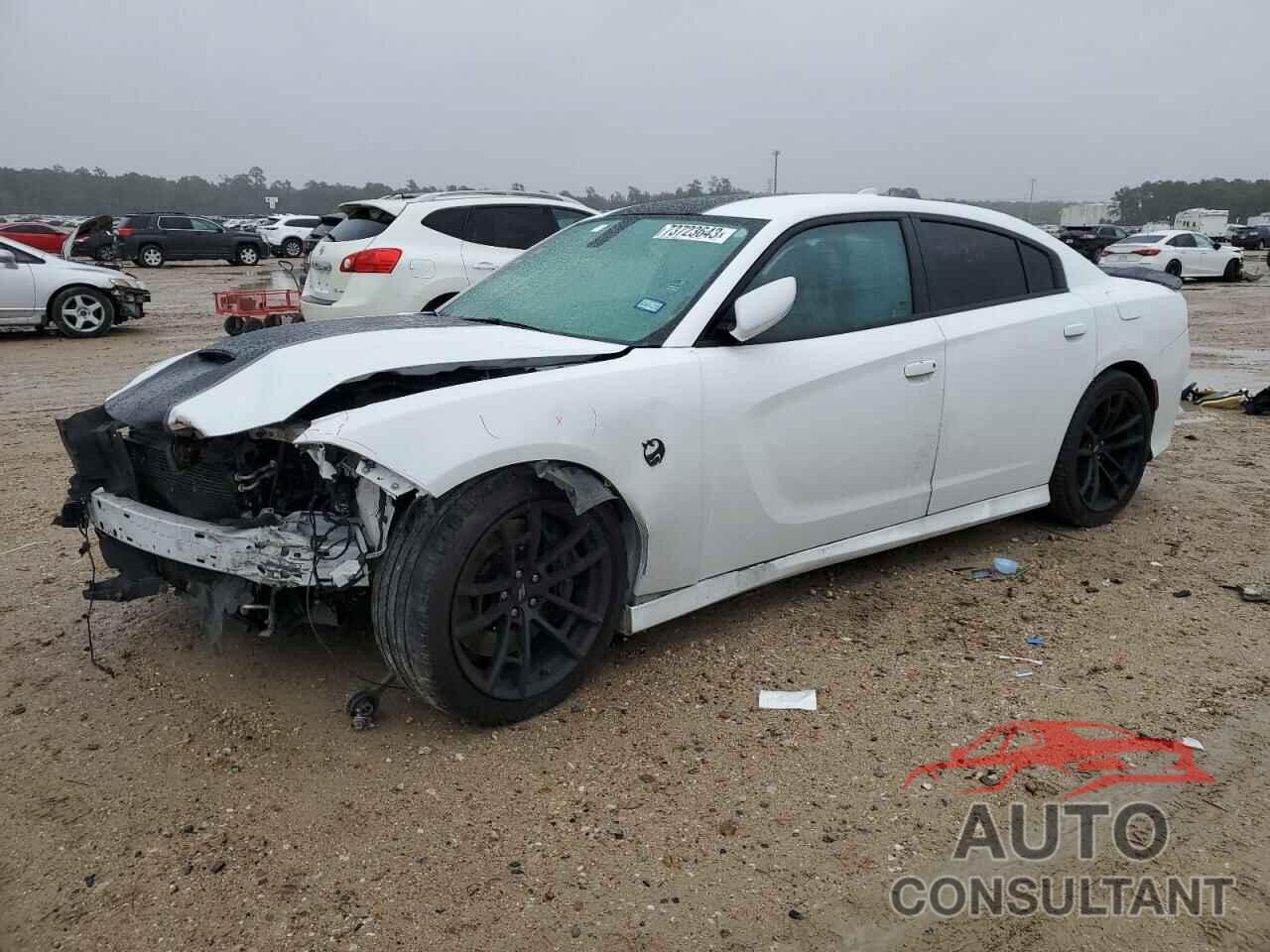 DODGE CHARGER 2020 - 2C3CDXGJ0LH228559