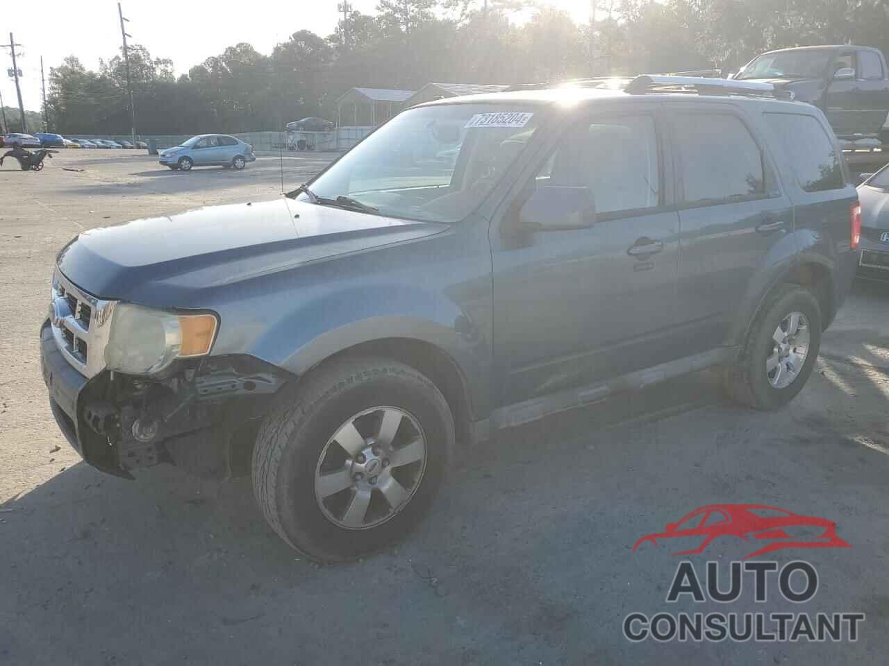 FORD ESCAPE 2011 - 1FMCU0EG6BKB10075
