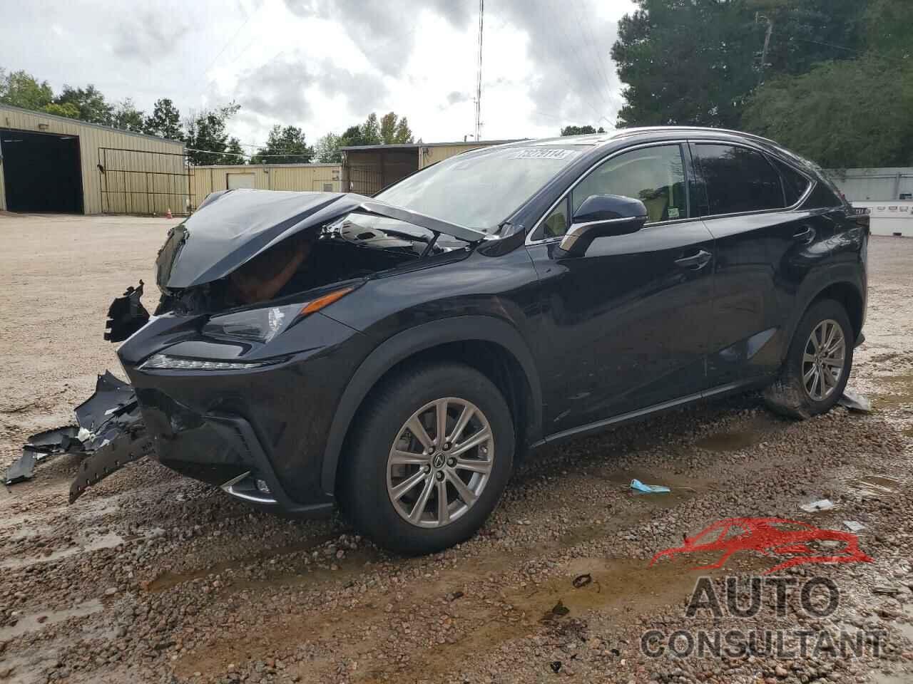 LEXUS NX 2020 - JTJDARBZ8L5002548